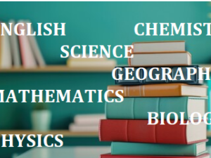 Subject-Wise Topics and Concepts