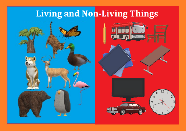 Science Lesson Plan - Year 1 - Living and Non-Living Things